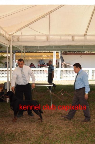 Clique sobre a foto para fechar